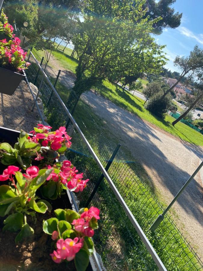 Mobile Home Biondina Camp Porton Nature Hideouts Rovinj Bagian luar foto